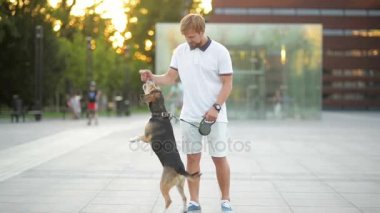 Yakışıklı adam eğitim Beagle köpek günbatımı sırasında açık havada. Evde beslenen hayvan onun sahibi etrafında atlama olduğunu.