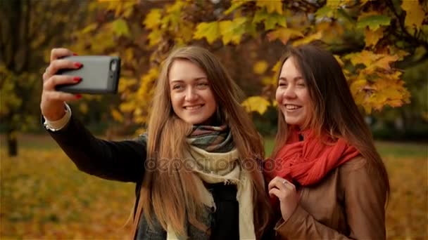 गर्ल फ्रेंड्स शरद ऋतु पार्क में सेल्फी बनाना। दो सुंदर युवा महिलाओं एक स्मार्टफ़ोन पर फोटोग्राफी — स्टॉक वीडियो
