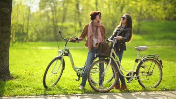 Dos amigas están de pie en el parque sosteniendo sus bicicletas y hablando entre ellas. Hierba verde sobre fondo . — Vídeos de Stock