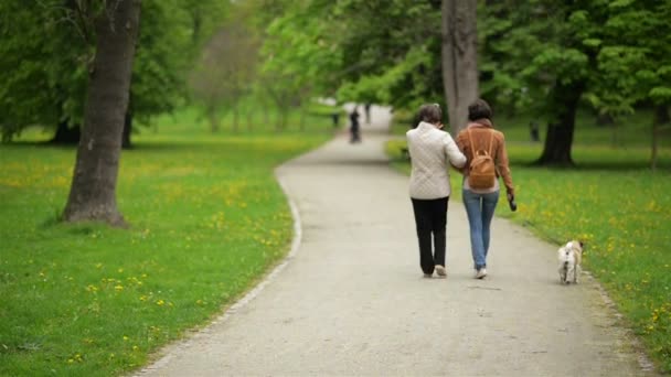 Attraente figlia adulta con la sua bella madre stanno camminando insieme a Little Dog nel parco in primavera . — Video Stock