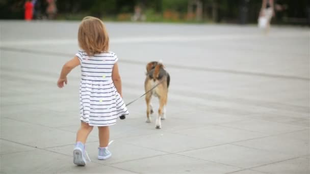 Vista posterior de la niña linda paseando con su perro Beagle a través de la plaza de la ciudad y manteniendo a la mascota con correa . — Vídeo de stock