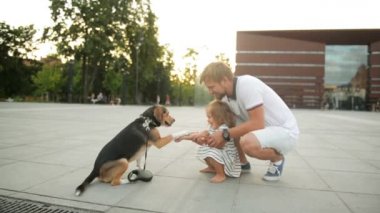 Sakallı baba ve kızı günbatımı sırasında kentin portresi. Beagle köpek bir pençe için küçük kız verir..