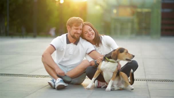 Retrato al aire libre de pareja enamorada disfrutando de la puesta de sol de verano con el perro Beagle sentado en la plaza de la ciudad . — Vídeo de stock