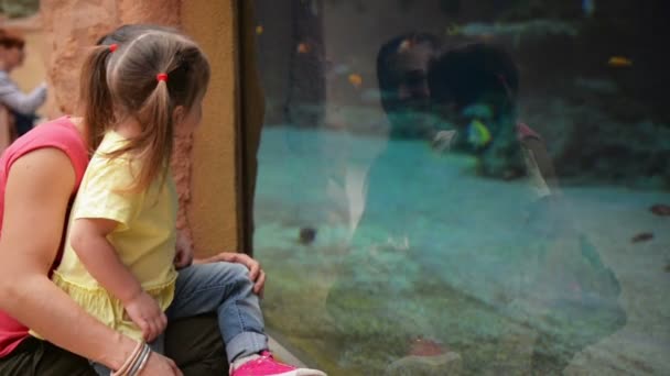 Madre feliz con su hija están buscando en el acuario con los peces. Se divierten mucho este día de las madres . — Vídeos de Stock