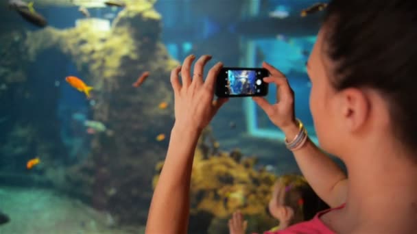 若い女の子は、水族館での撮影写真の魚です。彼女は彼女の写真を撮ると携帯電話を保持しています。. — ストック動画