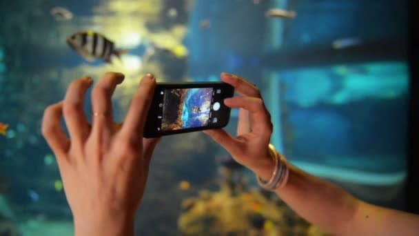 Молодая девушка фотографирует рыбок в аквариуме. Она держит телефон и фотографирует. . — стоковое видео