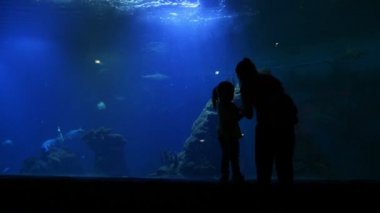 Anne ve kızı Oceanarium ziyaret Anneler gününde vardır. Balıklar su altında yüzüyor. Onlar çok balıklar ve köpekbalıkları için izlemek eğlenceli yaşıyorsanız.