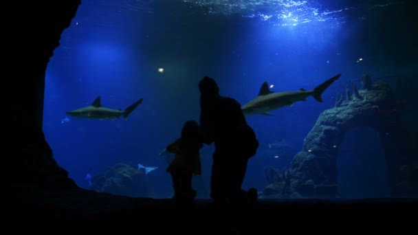 Mor och dotter är besöka Oceanarium på mors dag. Fiskar simmar under vattnet. De har mycket roligt titta för fiskar och hajar. — Stockvideo