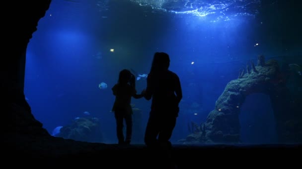 Madre e Hija están visitando el Oceanario el Día de las Madres. Se están divirtiendo mucho viendo peces y tiburones . — Vídeos de Stock