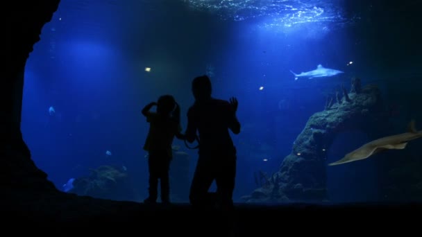 Madre e Hija están visitando el Oceanario el Día de las Madres. Se están divirtiendo mucho viendo peces y tiburones . — Vídeos de Stock