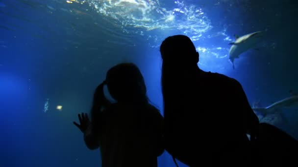 Madre e Hija están visitando el Oceanario el Día de las Madres. Se están divirtiendo mucho viendo peces y tiburones . — Vídeos de Stock