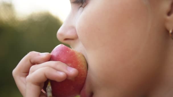 Dítě dívka jíst organické jablko v zahradě. Koncept sklizně. Zavřít — Stock video