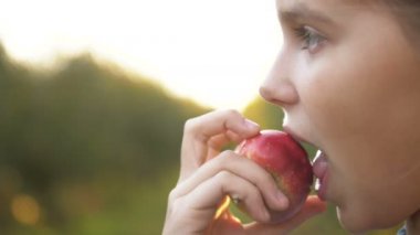 Bahçede Organik Elma Yiyen Çocuk Kız. Hasat Konsepti. Kapat.