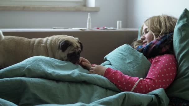Chica con fiebre acostada con un lindo perro en el sofá en casa. Niño enfermo que sufre de rinitis y tos en la cama — Vídeos de Stock