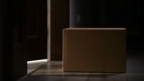 Mujer abre la puerta principal y toma una gran caja de cartón . — Vídeos de Stock