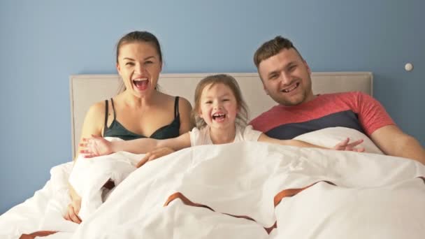 Fun family morning. Dad, mom and little daughter are playing in bed. All together are hiding under the covers. — Stock Video