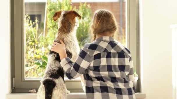 Dziewczyna z warkoczami i jej pies patrzą przez okno. Dziecko przytula swojego zwierzaka. Widok z tyłu. — Wideo stockowe