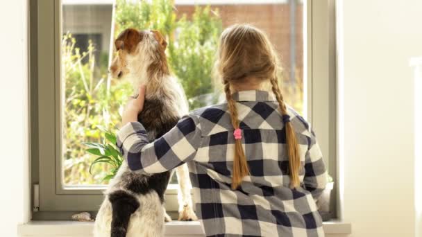 Schulmädchen mit Hund am Fenster. Mädchen umarmt ihr Haustier. Rückseite. — Stockvideo