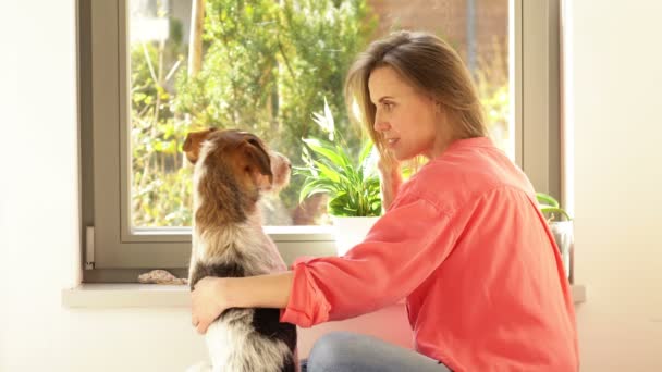 Unga kvinna leker vid fönstret med sin hund. Sällskapsdjur ber om något gott. — Stockvideo