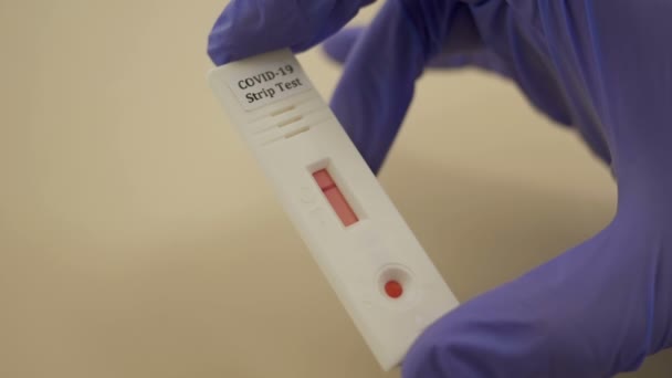 Lab technician s hand in a protective glove holds the Strip Test Covid-19. Close up. — Stock Video