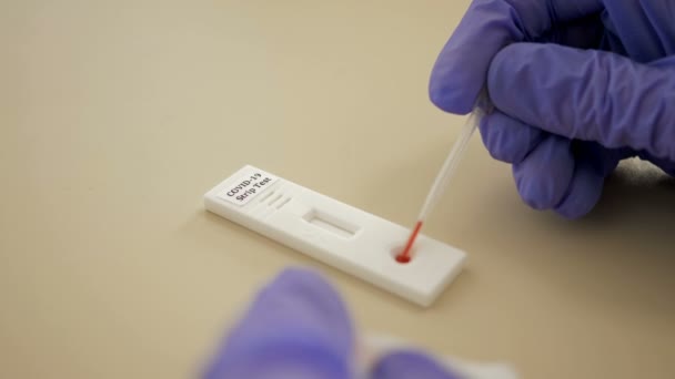 El técnico del laboratorio hace un análisis de sangre exprés usando Strip Test. Diagnóstico de Coronavirus 10-Min . — Vídeo de stock