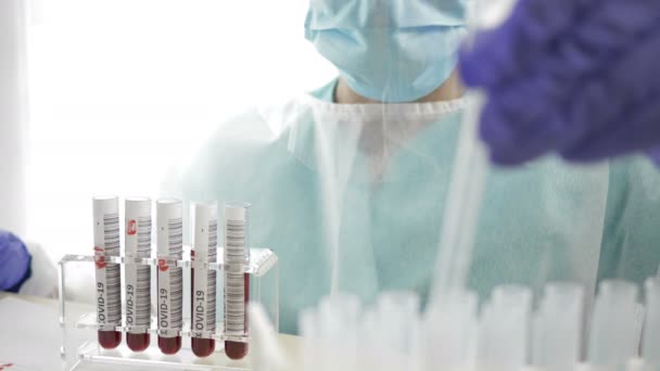 Тест COVID-19. Асистентка лабораторії працює з зразками крові . — стокове відео