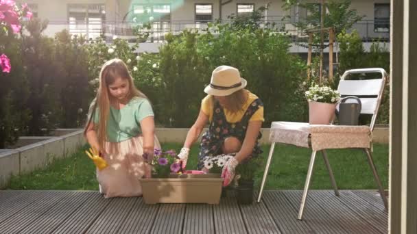 Madre e hija adolescente plantan flores en maceta en el patio de su casa. Mascota está jugando junto a ellos . — Vídeo de stock