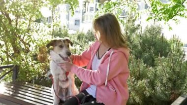 Köpek sevgili sahibini yalıyor. Genç bayan neşeyle gülüyor..