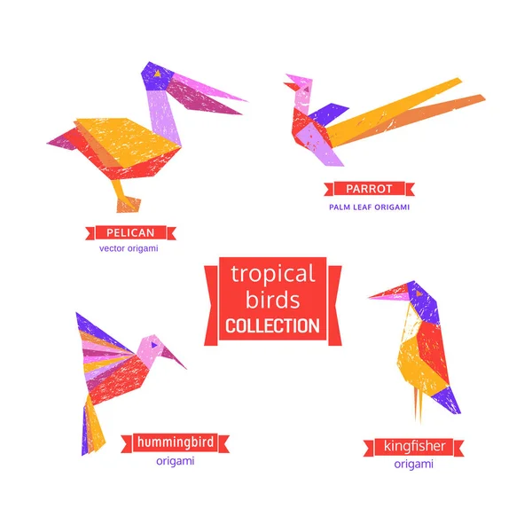 Set of tropical bird  icons. — Stock Vector