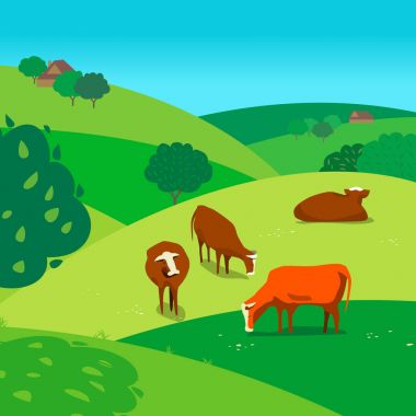 çayır üzerinde ineklerin