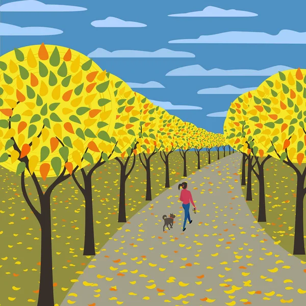 Şehir parkında sonbahar