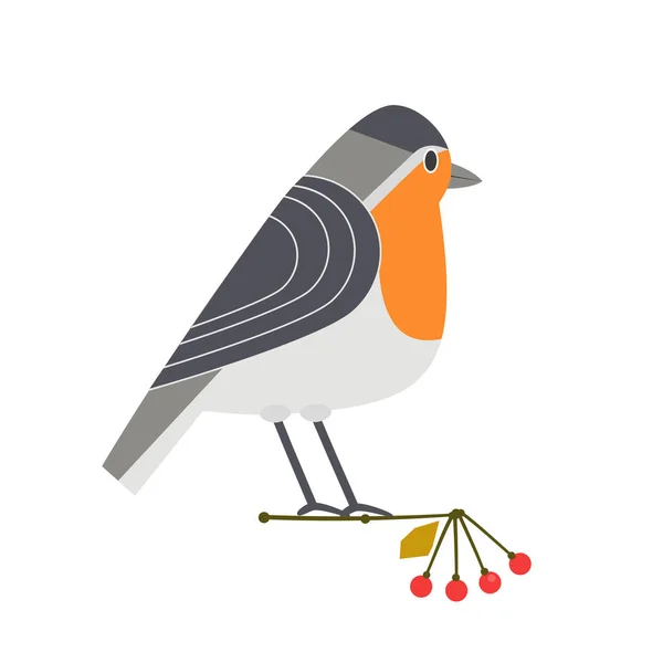 Cute robin icon — Stock Vector
