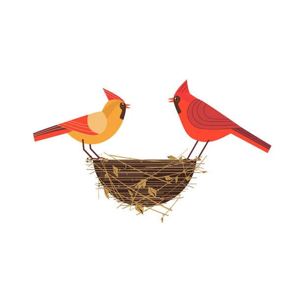 Pareja de pájaros cardinales rojos — Vector de stock