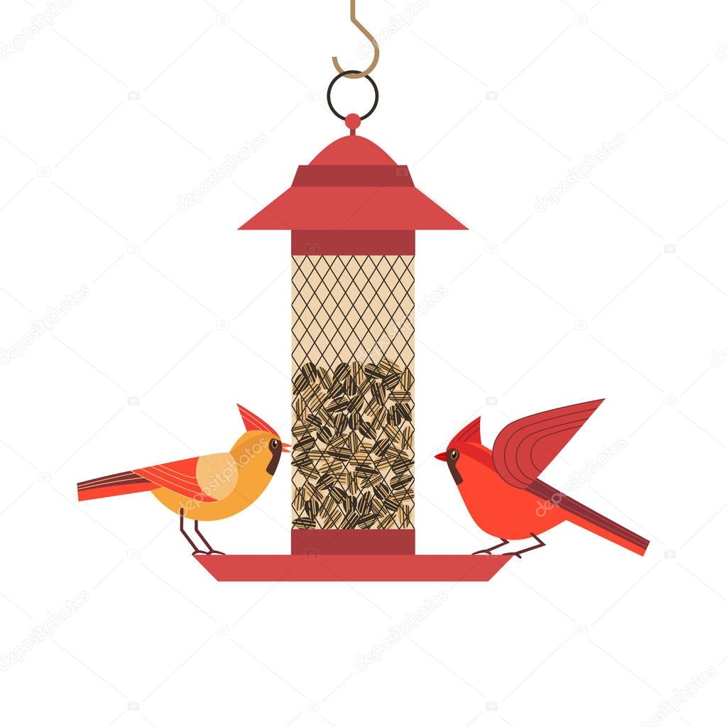 Bird feeding poster