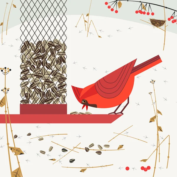 Poster alimentazione uccelli — Vettoriale Stock