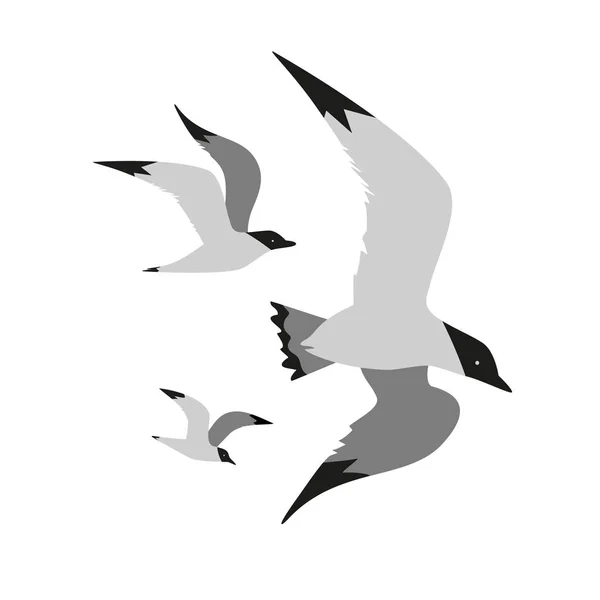 Seagull flight icon — Stock Vector