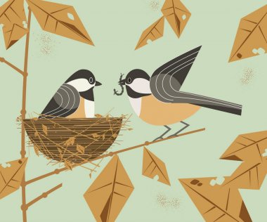 Bülbül kuşu Çift