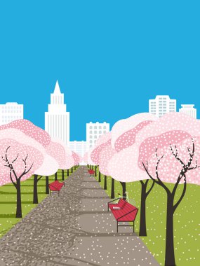 İlkbahar konsepti. Kiraz ağaçlarının çiçek açtığı şehir bahçesi. El çizimi düz vektör arka plan. Sakura çiçekleri, taze yeşil çimenler. Dekoratif bahar etkinlik afişi klasik illüstrasyon şablonu