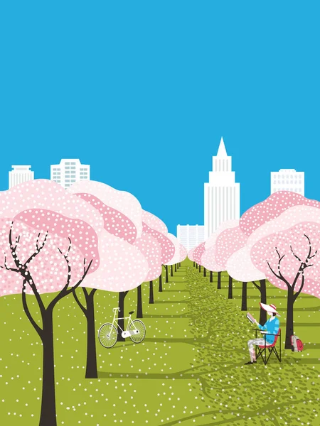 Offentlig Park Udendørs Fritidsaktiviteter Bloooming Kirsebærtræer Byens Have Baggrund Cyklist – Stock-vektor