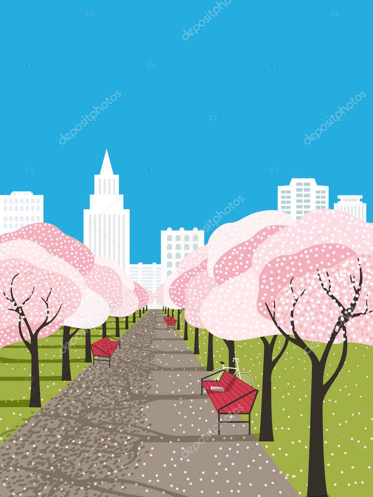 Springtime concept. Cherry blossom trees alley city garden. Hand drawn flat vector background. Sakura blossoming, fresh green lawn. Decorative spring season event banner template vintage illustration