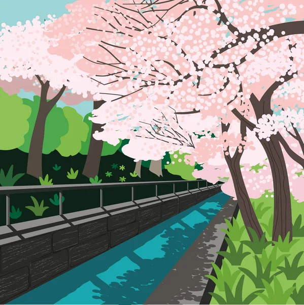 Cartel vectorial de callejón de sakura floreciente dibujado a mano — Vector de stock