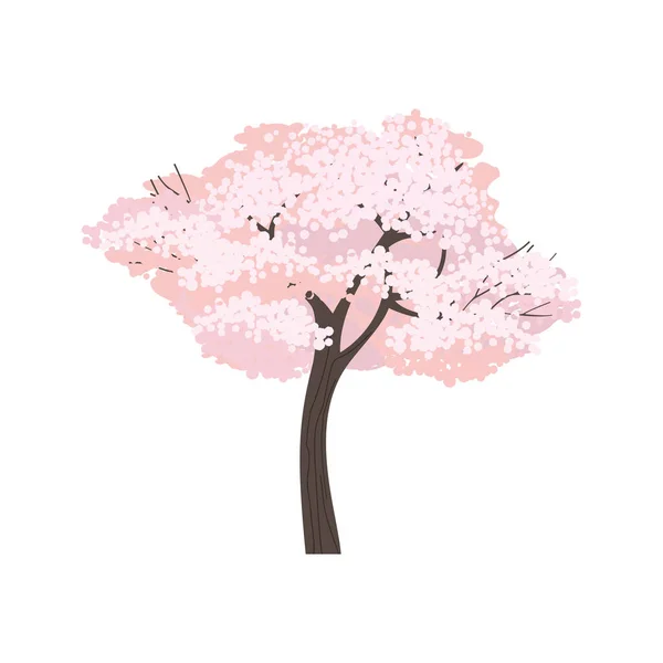 Vårens Blommande Körsbärsträd Isolerad Vit Bakgrund Vektor Pretty Sakura Blommar — Stock vektor