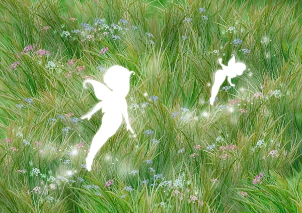 Les fées sur l'herbe — Photo