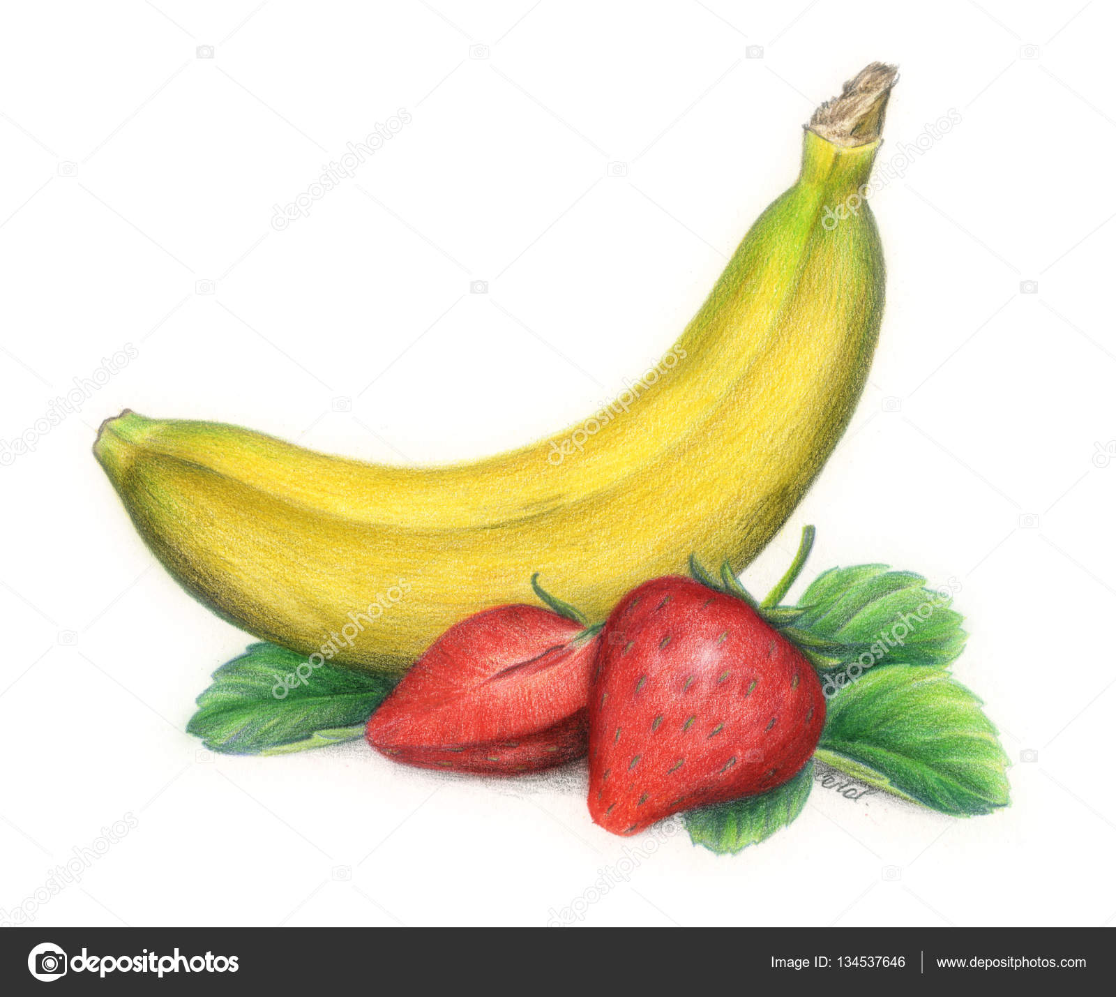 Disegnato con fragole e banane realistico matite colorate a mano morta — Foto di carlacastagno
