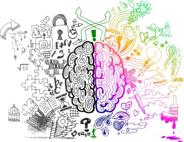 Brain hemispheres sketchy doodles vector