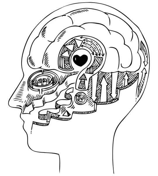 Perfil del hombre con cerebro y corazón — Vector de stock