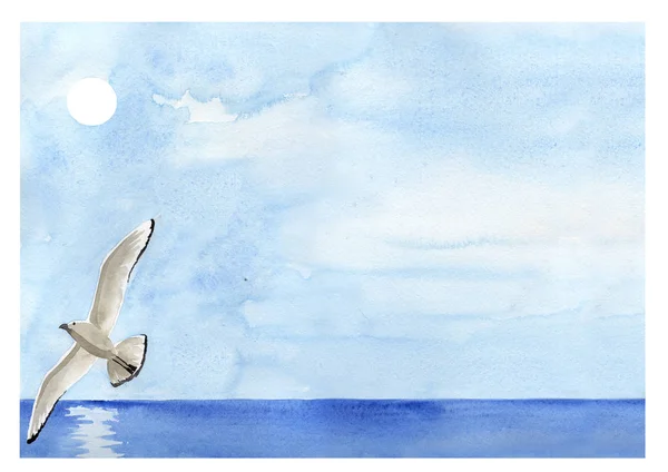 Pintura de gaivota do mar — Fotografia de Stock