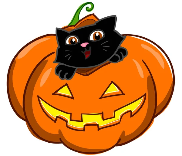 Chat noir et citrouille d'Halloween — Image vectorielle