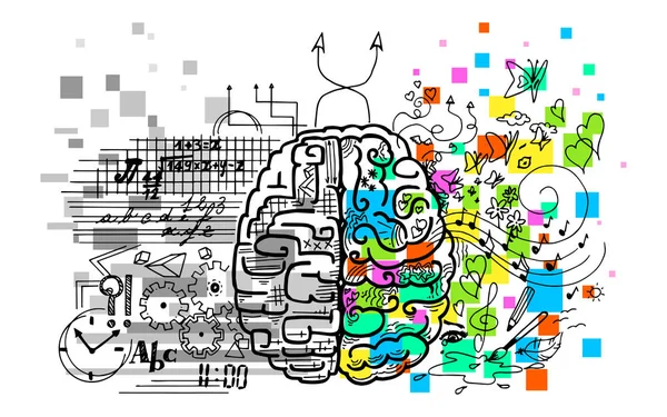 Ilustración del cerebro izquierdo y derecho — Archivo Imágenes Vectoriales