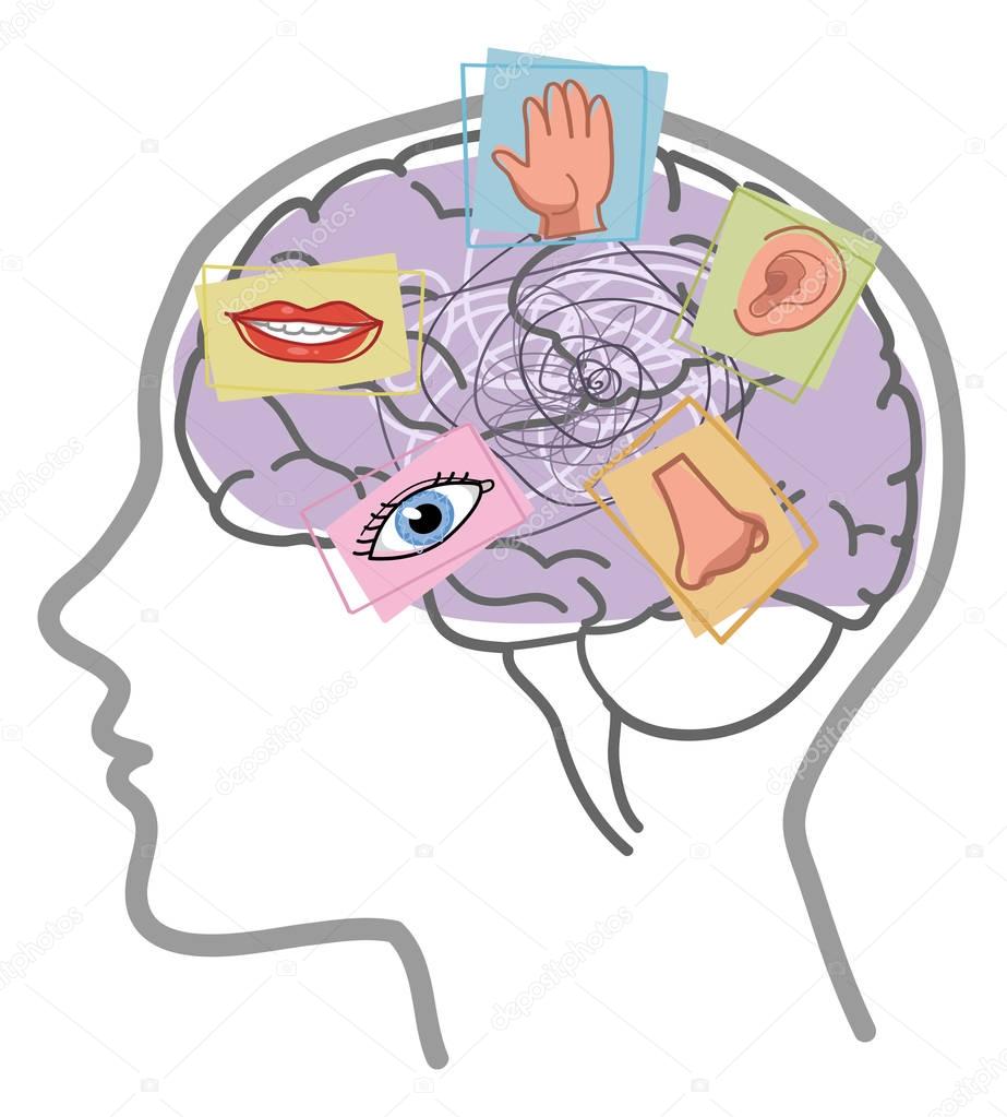 Brain 5 senses disorder
